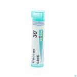 Packshot Coccus Cacti 30k Gr 4g Boiron
