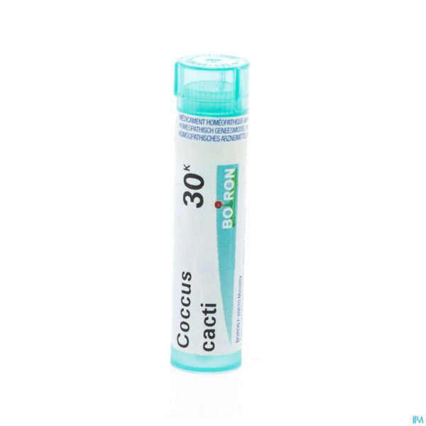 Packshot Coccus Cacti 30k Gr 4g Boiron