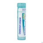 Packshot Chelidonium Compos Gran Boiron