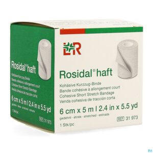 Packshot Rosidal Haft Cohesieve Windel 6cmx5m 1 31973
