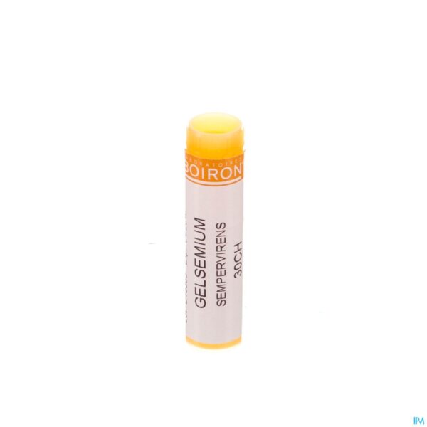 Packshot Gelsemium Sempervirens 30ch Gl Boiron