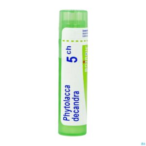 Packshot Phytolacca Decandra 5ch Gr 4g Boiron