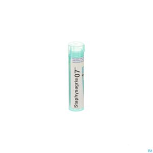 Packshot Staphysagria 7ch Gr 4g Boiron