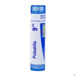 Packshot Pulsatilla 9ch Gr 4g Boiron