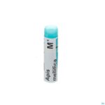 Packshot Apis Mellifica Mk Gl Boiron