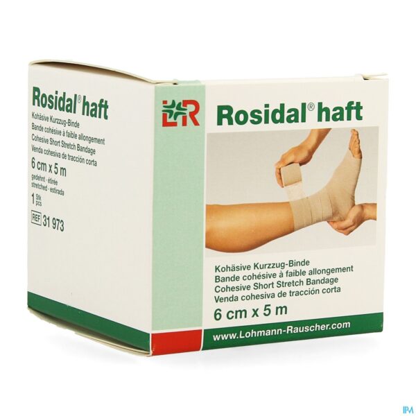 Packshot Rosidal Haft Cohesieve Windel 6cmx5m 1 31973