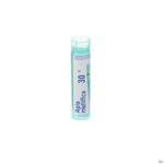 Packshot Apis Mellifica 30k Gr 4g Boiron