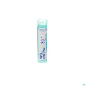 Packshot Apis Mellifica 30k Gr 4g Boiron