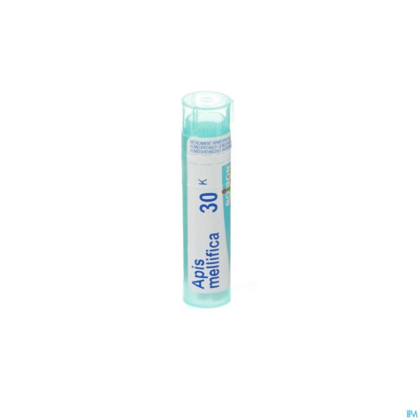 Packshot Apis Mellifica 30k Gr 4g Boiron