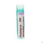 Packshot Phytolacca Decandra 200k Gr 4g Boiron