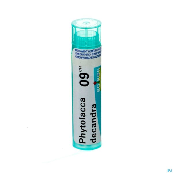 Packshot Phytolacca Decandra 9ch Gr 4g Boiron