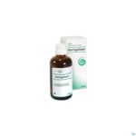 Productshot Vertigoheel Druppels 100ml