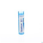 Packshot Causticum Hahnemanni 9ch Gr 4g Boiron