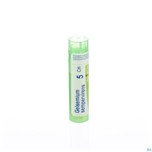 Packshot Gelsemium Sempervirens 5ch Gr 4g Boiron