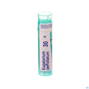Packshot Eupatorium Perfoliatum 30k Gr 4g Boiron