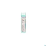 Packshot Graphites 15ch Gr 4g Boiron