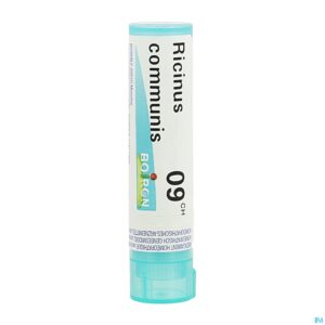 Packshot Ricinus Communis 9ch Gr 4g Boiron