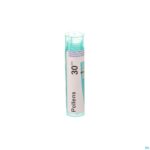 Packshot Pollens 30ch Gr 4g Boiron
