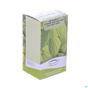 Packshot Stinkende Gouwe Doos 100g Fag