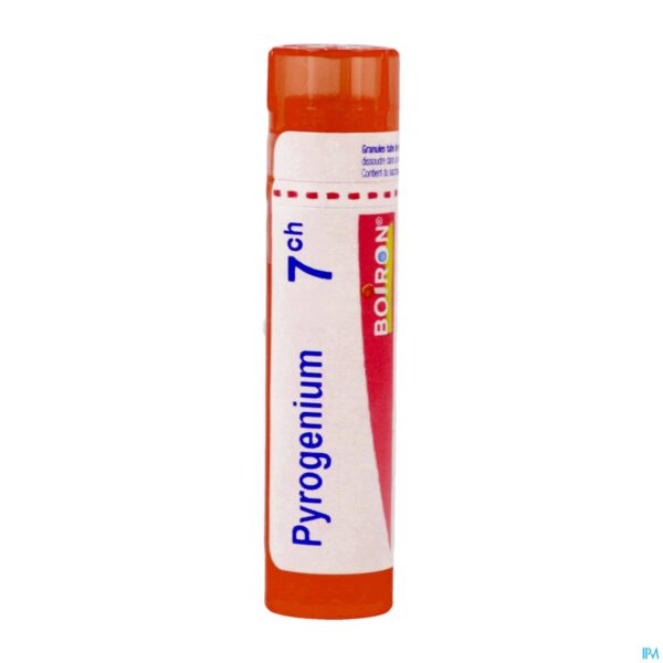 Packshot Pyrogenium 7ch Gr 4g Boiron