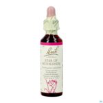 Packshot Bach Flower Remedie 29 Star Bethlehem 20ml