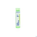 Packshot Apis Mellifica 5ch Gr 4g Boiron