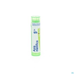 Packshot Apis Mellifica 5ch Gr 4g Boiron