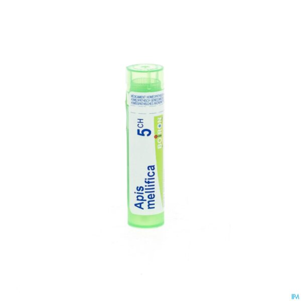 Packshot Apis Mellifica 5ch Gr 4g Boiron