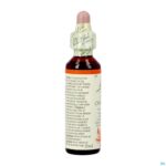 Packshot Bach Flower Remedie 25 Red Chestnut 20ml