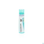 Packshot Causticum Hahnemanni Mk Gr 4g Boiron