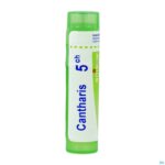 Packshot Cantharis 7ch Gr 4g Boiron