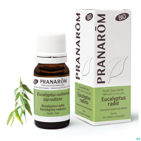 Lifestyle_image Pranarom Eo Eucalyptus Radiata Bio 10ml