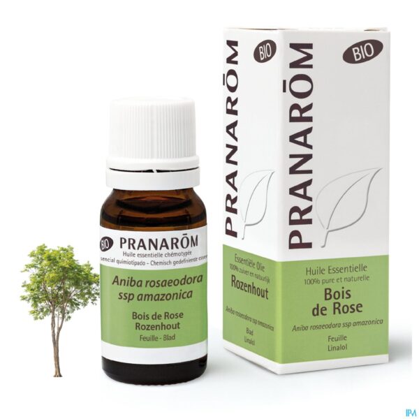 Lifestyle_image Pranarom Eo Aniba Rozenblad Bio 10ml