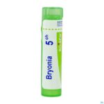 Packshot Bryonia 5ch Gr 4g Boiron