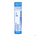 Packshot Phytolacca Decandra 9ch Gr 4g Boiron
