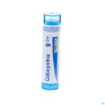 Packshot Colocynthis 9ch Gr 4g Boiron