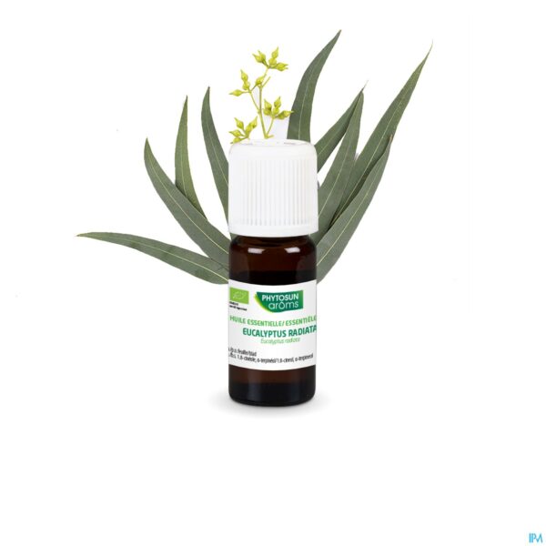 Lifestyle_image Phytosun Euc. Radiata Fr-bio-01 10ml Lifestyle_image Phytosun Euc. Radiata Fr-bio-01 10ml