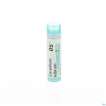 Packshot Corallium Rubrum 05ch Gr 4g Boiron