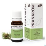 Lifestyle_image Pranarom Eo Grove Den Naald Bio 10ml
