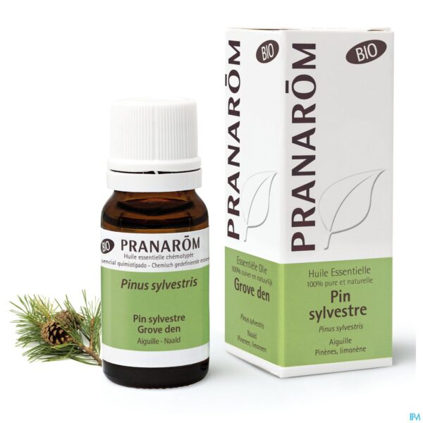 Lifestyle_image Pranarom Eo Grove Den Naald Bio 10ml
