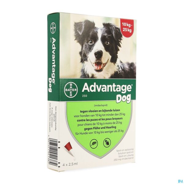 Packshot Advantage 250 Honden 10<25kg 4x2,5ml Packshot Advantage 250 Honden 10