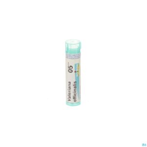 Packshot Valeriana Officinalis 5ch Gr 4g Boiron