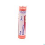 Packshot Rhus Toxicodendron 7ch Gr 4g Boiron