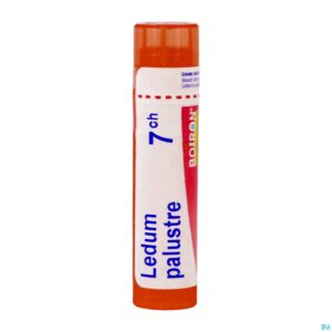 Packshot Ledum Palustre 7ch Gr 4g Boiron