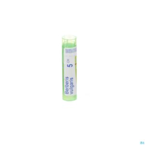 Packshot Berberis Vulgaris 5ch Gr 4g Boiron