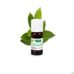Lifestyle_image Phytosun Laurier Fr-bio-01 5ml