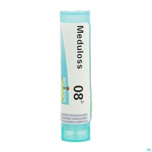 Packshot Meduloss 8d Gr 4g Boiron