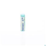 Packshot Staphysagria Xmk Gl Boiron