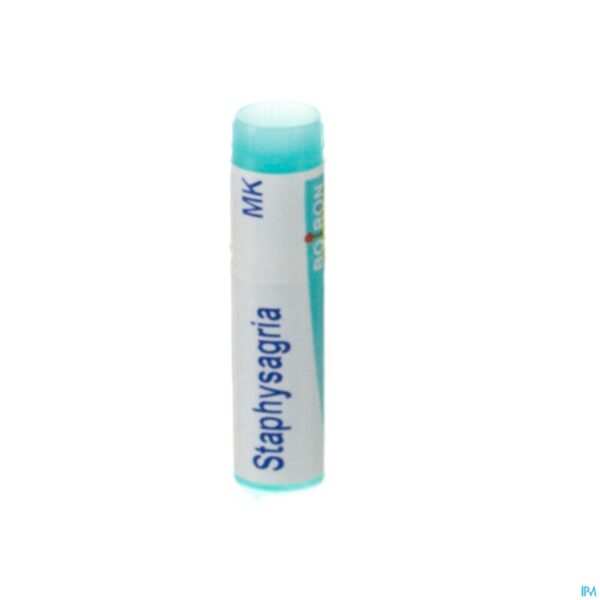 Packshot Staphysagria Mk Gl Boiron