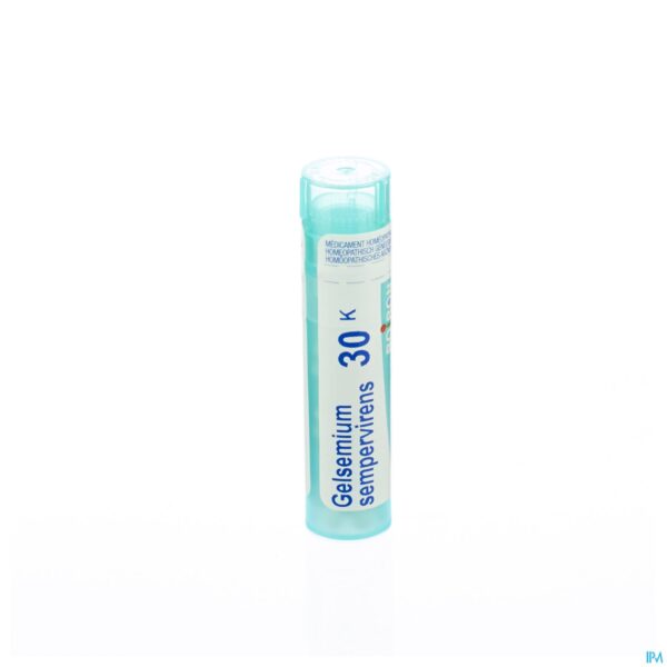 Packshot Gelsemium Sempervirens 30k Gr 4g Boiron